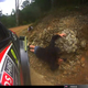 Image for article titled Rallying Wants Onboard Cameras to ID Reckless Fans